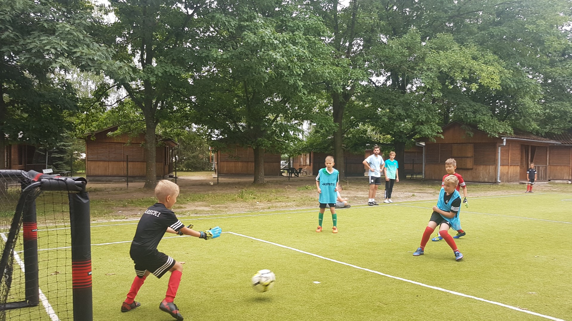20180815_123541 (Large).jpg