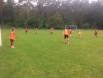 IMG_4981.JPG IMG_4981.JPG