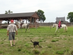 DSC00641.JPG