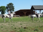DSC00786.JPG