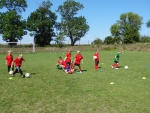 DSC00790.JPG
