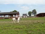 DSC00890.JPG