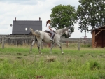DSC00906.JPG