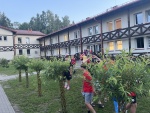 IMG_7649.JPG