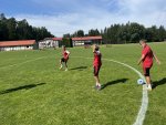 IMG_4533.JPG