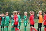 IMG_8343.jpg