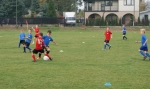 DSC08412.JPG