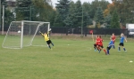 DSC08414.JPG