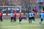 DSC_9207-P50.jpg