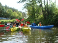 DSC09243.JPG
