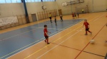 DSC02242.JPG