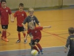 IMG_8782.JPG