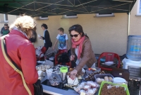 DSC00550.JPG