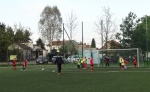 DSC02377_crop.jpg