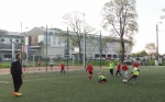 DSC02378_crop.jpg