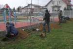 20151114_budowa_boiska_012.JPG 20151114_budowa_boiska_012.JPG