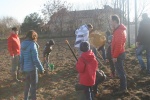 IMG_3953.JPG IMG_3953.JPG