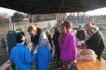IMG_4054.JPG IMG_4054.JPG
