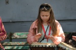 IMG_7147.JPG