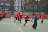 49-DSC07636.JPG