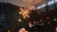 DSC08213.JPG