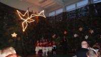 DSC08217.JPG