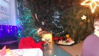 DSC08218.JPG