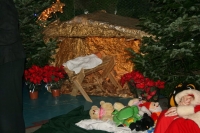 IMG_9303.JPG