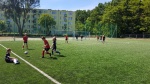 20170603_140428 (1024x576).jpg