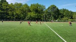 20170603_140936 (1024x576).jpg