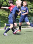 IMG_7226.jpg